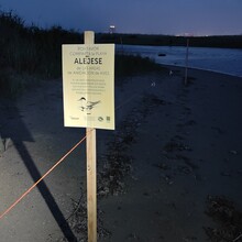 Ariana Almanza, Gustavo Rodriguez - Galveston Island (Salty Scrimp 50k) (TX)