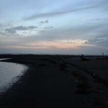 Ariana Almanza, Gustavo Rodriguez - Galveston Island (Salty Scrimp 50k) (TX)