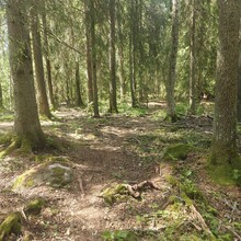 Lisa Backhouse - Gruvdammsrundan (Sweden)