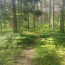 Lisa Backhouse - Gruvdammsrundan (Sweden)