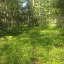 Lisa Backhouse - Gruvdammsrundan (Sweden)