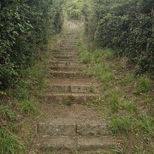 Laura Kok - Guernsey Round (United Kingdom)