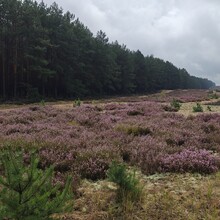 Tomasz Napierala - NUT - Notecka Ultra Trail