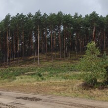 Tomasz Napierala - NUT - Notecka Ultra Trail