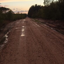 Tomasz Napierala - NUT - Notecka Ultra Trail