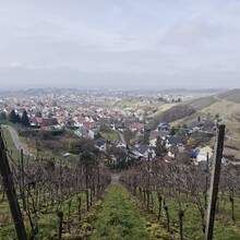 Lennart van de Peppel - Gustav Weg