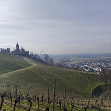 Lennart van de Peppel - Gustav Weg