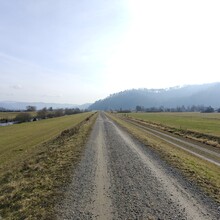 Lennart van de Peppel - Gustav Weg