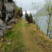 Magne Kvalsøren - Lustrafjorden loop