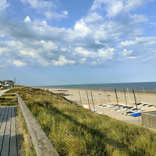 Mark Breed - Dutch Dunes (Netherlands)
