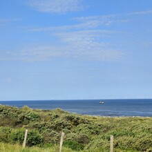 Mark Breed - Dutch Dunes (Netherlands)