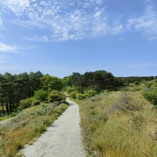 Mark Breed - Dutch Dunes (Netherlands)