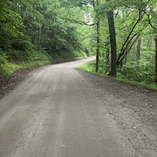 Brian Downs - Mill Creek to Point Lookout Loop