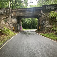 Brian Downs - Mill Creek to Point Lookout Loop