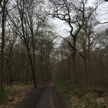 James  Burton - Hillingdon Trail (United Kingdom)