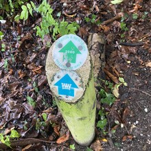 Clare Robertson, Alex Worth - Soberton and Newtown Millennium Walk (United Kingdom)