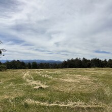 Oowan Davies - Mount Baw Baw to Warburton (Upper Yarra Walking Track)