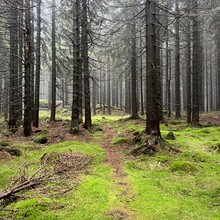 Jan Drbohlav - Jizerské tisícovky