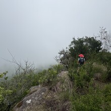 Dominique Davies, John Carter, Paul Carter - Amathole Plus (South Africa)