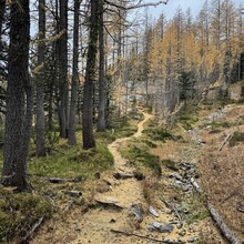Svetoslav Kolev - Oval Peak (WA)