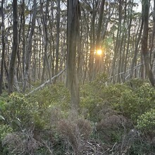 Oowan Davies - Mount Baw Baw to Warburton (Upper Yarra Walking Track)