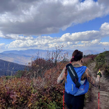 Teresa Bowser - Project Untamed 100 (NC)