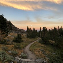 Thomas Nelson - John Muir Trail (CA)
