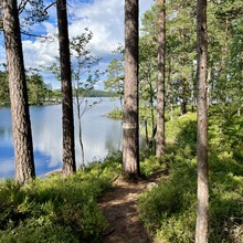 Stefan Bengtsson, Stefan Bengtsson - Tiveden National Park (Sweden)