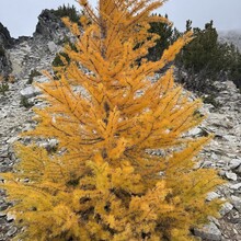 Svetoslav Kolev - Oval Peak (WA)
