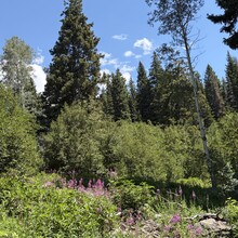 Courtney Clifton, Andrew Pontbriand - Black Mountain Loop (CO)
