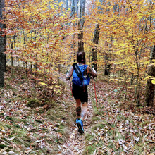 Teresa Bowser - Project Untamed 100 (NC)