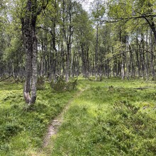 Finn Isaksen - Ryger - Ryfylkeheiene på langs