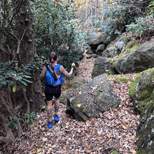 Teresa Bowser - Project Untamed 100 (NC)