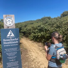 Chris Wristen, Alexandra Brinkert - Coast to coast trail Nantucket (MA)