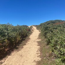 Chris Wristen, Alexandra Brinkert - Coast to coast trail Nantucket (MA)