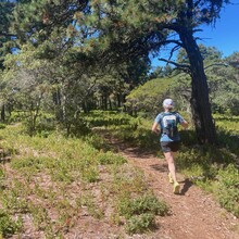 Chris Wristen, Alexandra Brinkert - Coast to coast trail Nantucket (MA)