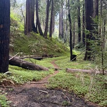 Clark Messman - Cone Peak (CA)