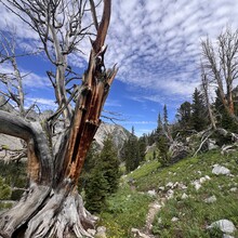 Jaime Aparicio - Spanish Peaks Loop