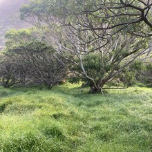 Brian Wyland - Haleakala (HI)