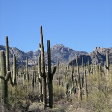 Rami Haddad, Liza O’Connor - Phoneline Loop CCW