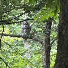 Mandy Hansel - Upper Mississippi Bluff-to-Bluff (MN, WI)