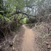 Enrique Brenes - Laguna Wilderness Big Loop