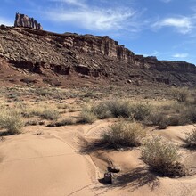 Courtney Clifton - White Rim Road (UT)