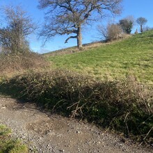 Alex Hammond - Dan Booth Round (United Kingdom)