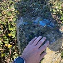 Alex Hammond - Dan Booth Round (United Kingdom)