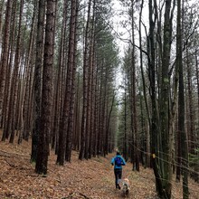 Helena Kotala, Barb Kelsey - Allegheny Front Trail (PA)