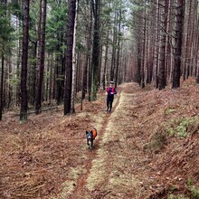 Helena Kotala, Barb Kelsey - Allegheny Front Trail (PA)