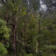 Oliver Coppen - The Great Ocean Road