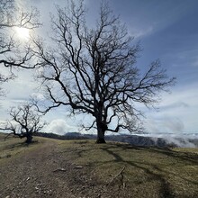 Marshall Burke - Ohlone Wilderness Trail (CA)