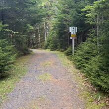 Brandon McCluskey - Fundy Multi-Use Trail (NB, Canada)